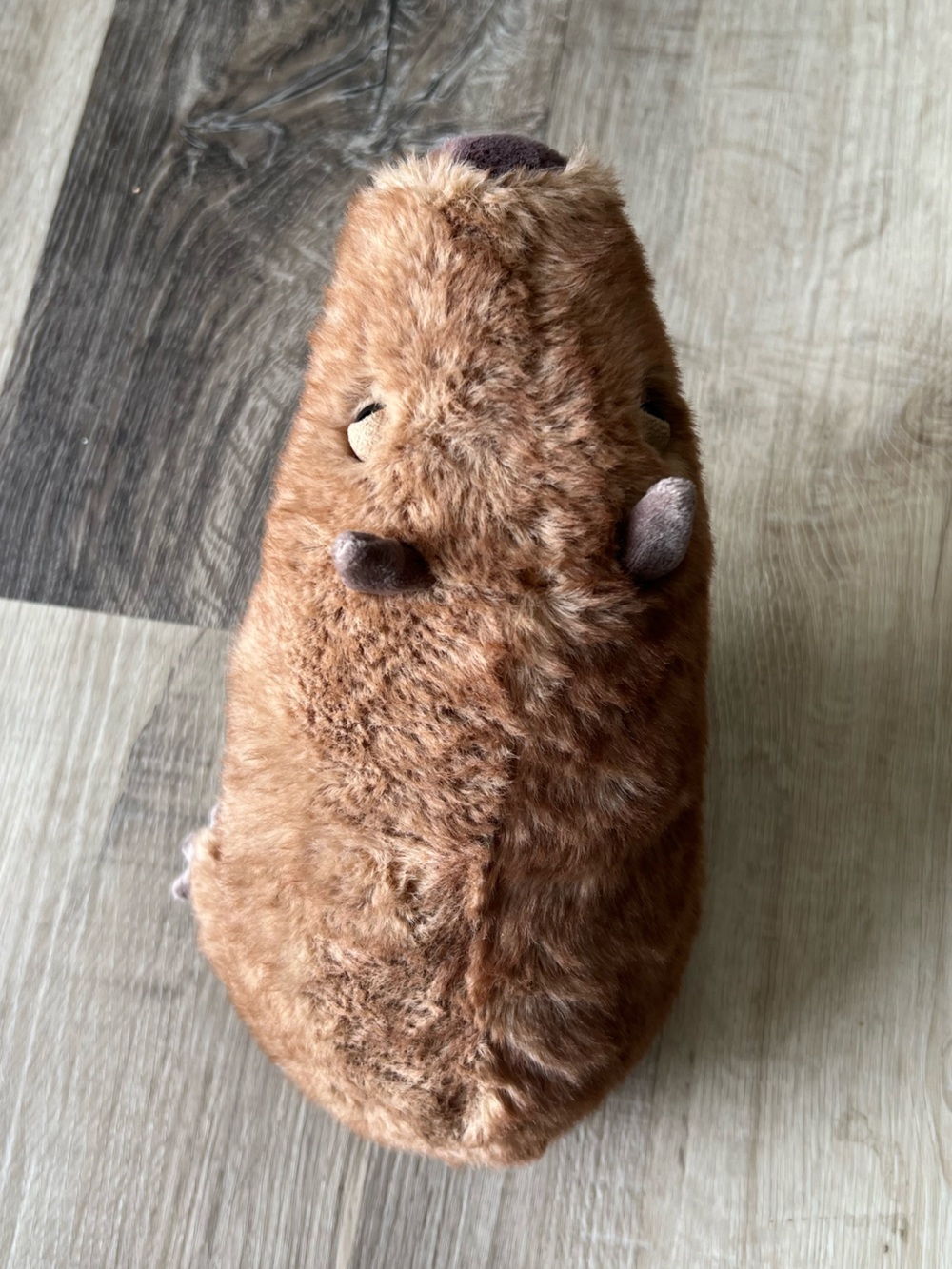 Jellycat Clyde Capybara - Picture 9 of 11